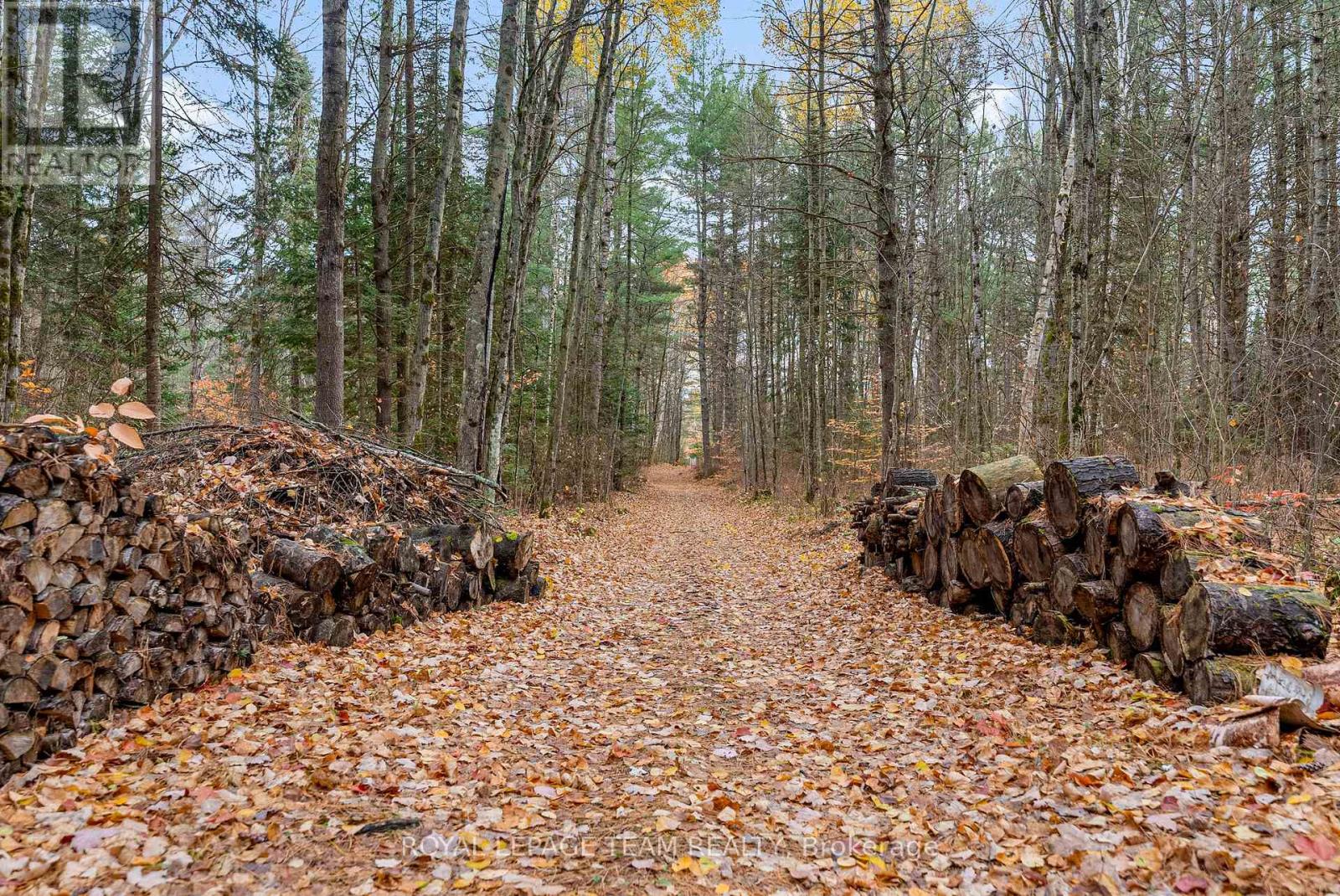 725 Marsh Road, North Algona Wilberforce, Ontario  K8A 6W4 - Photo 35 - X12481689