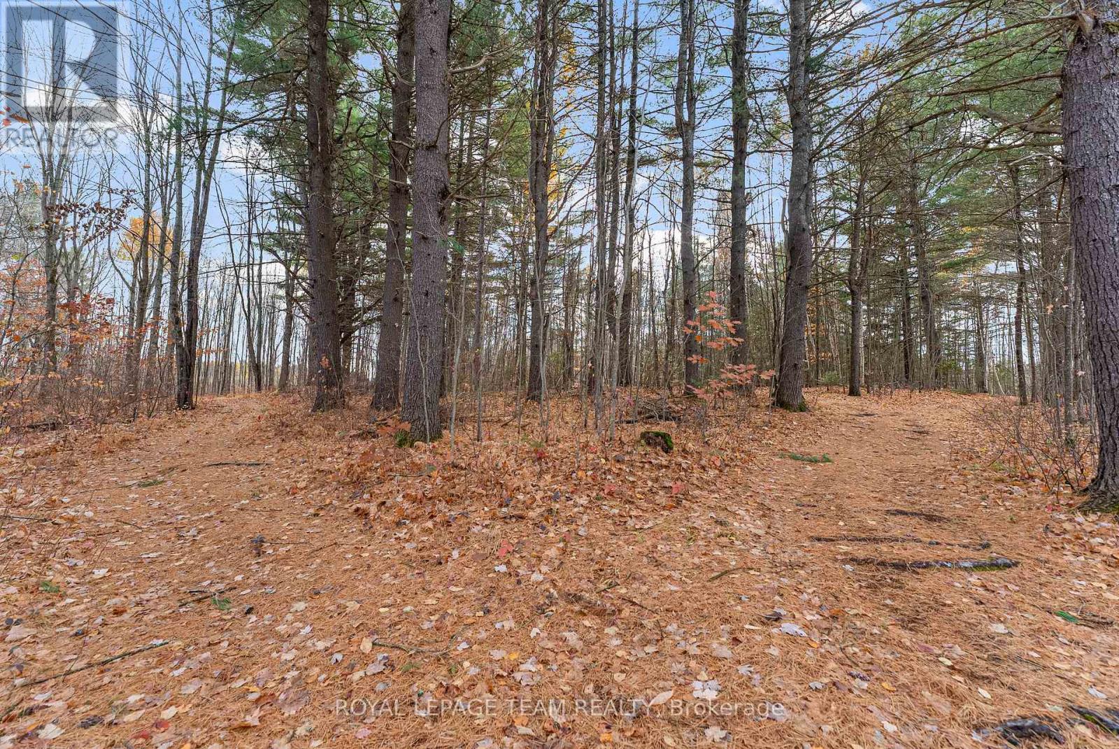 725 Marsh Road, North Algona Wilberforce, Ontario  K8A 6W4 - Photo 38 - X12481689