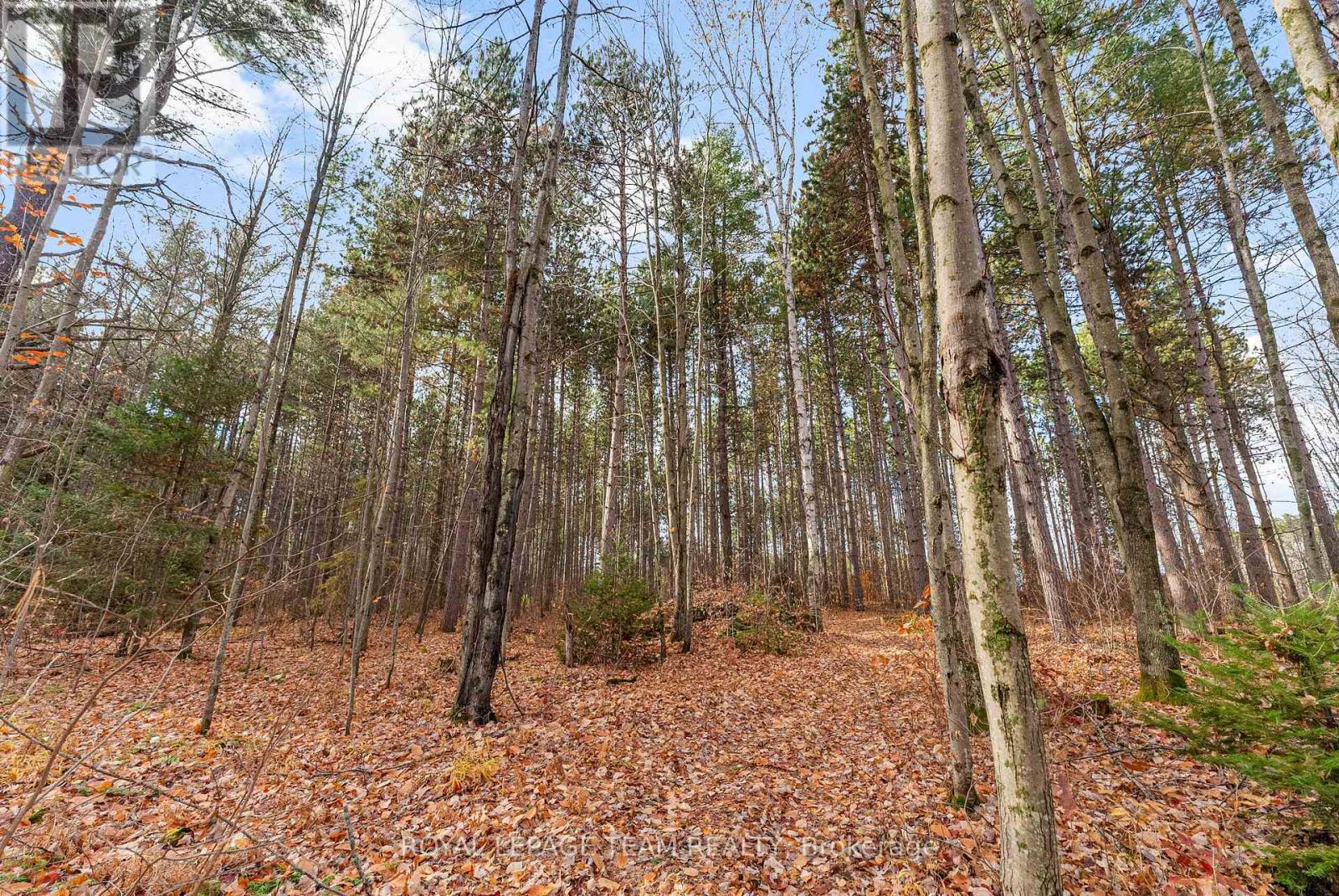 725 Marsh Road, North Algona Wilberforce, Ontario  K8A 6W4 - Photo 41 - X12481689