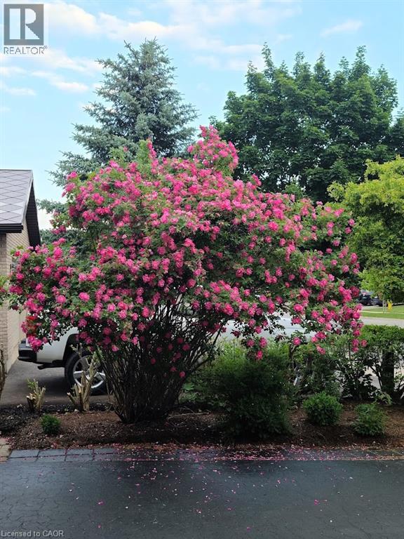 99 Keating Drive, Elora, Ontario  N0B 1S0 - Photo 44 - 40804780