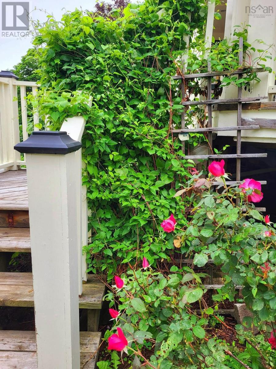 1302 Macgarry Road, Grand Étang, Nova Scotia  B0E 1H0 - Photo 4 - 202602749