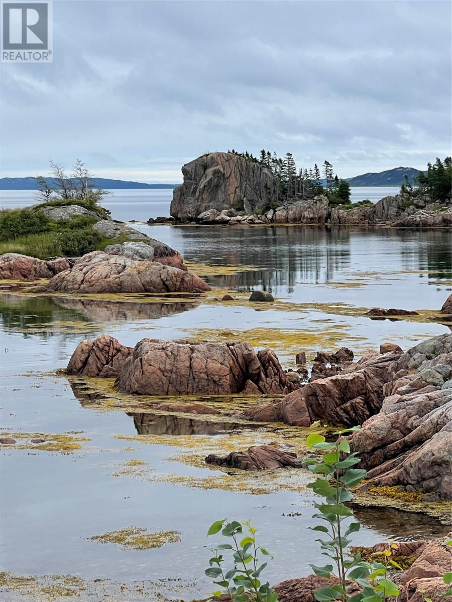 26 Main Road, Hare Bay, Newfoundland & Labrador  A0G 2P0 - Photo 31 - 1294548