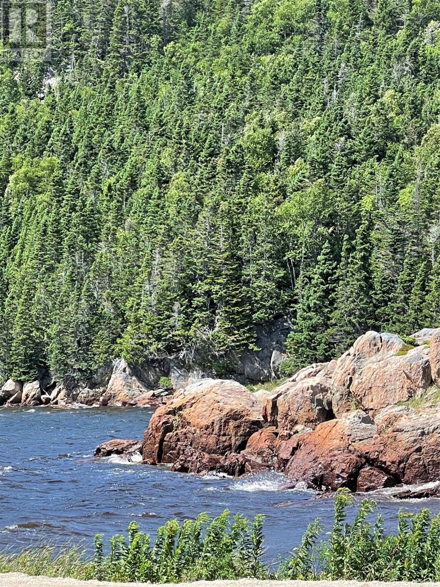 26 Main Road, Hare Bay, Newfoundland & Labrador  A0G 2P0 - Photo 34 - 1294548