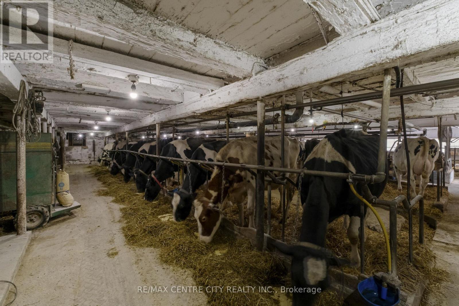 5205 13th Line, Minto, Ontario  N0G 1Z0 - Photo 18 - X12789516