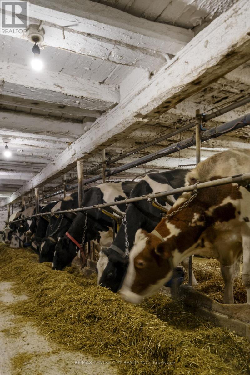 5205 13th Line, Minto, Ontario  N0G 1Z0 - Photo 19 - X12789516