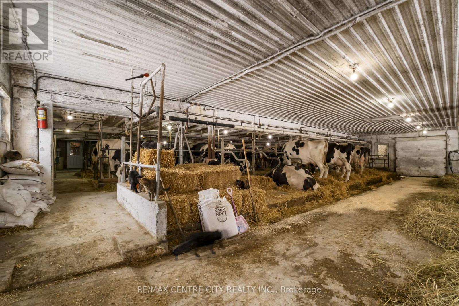 5205 13th Line, Minto, Ontario  N0G 1Z0 - Photo 21 - X12789516