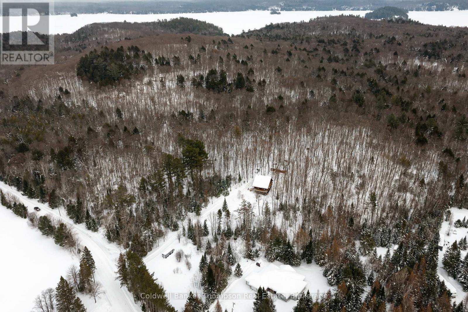 299 Rowanwood Road, Huntsville, Ontario P0B 1M0 - Photo 2 - X12788724