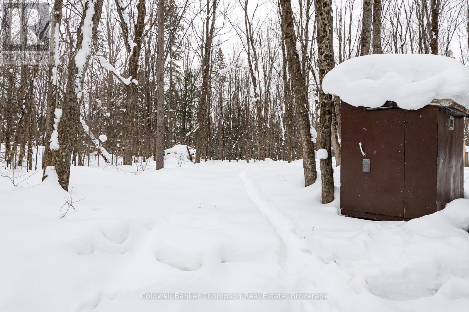 299 Rowanwood Road, Huntsville, Ontario P0B 1M0 - Photo 42 - X12788724