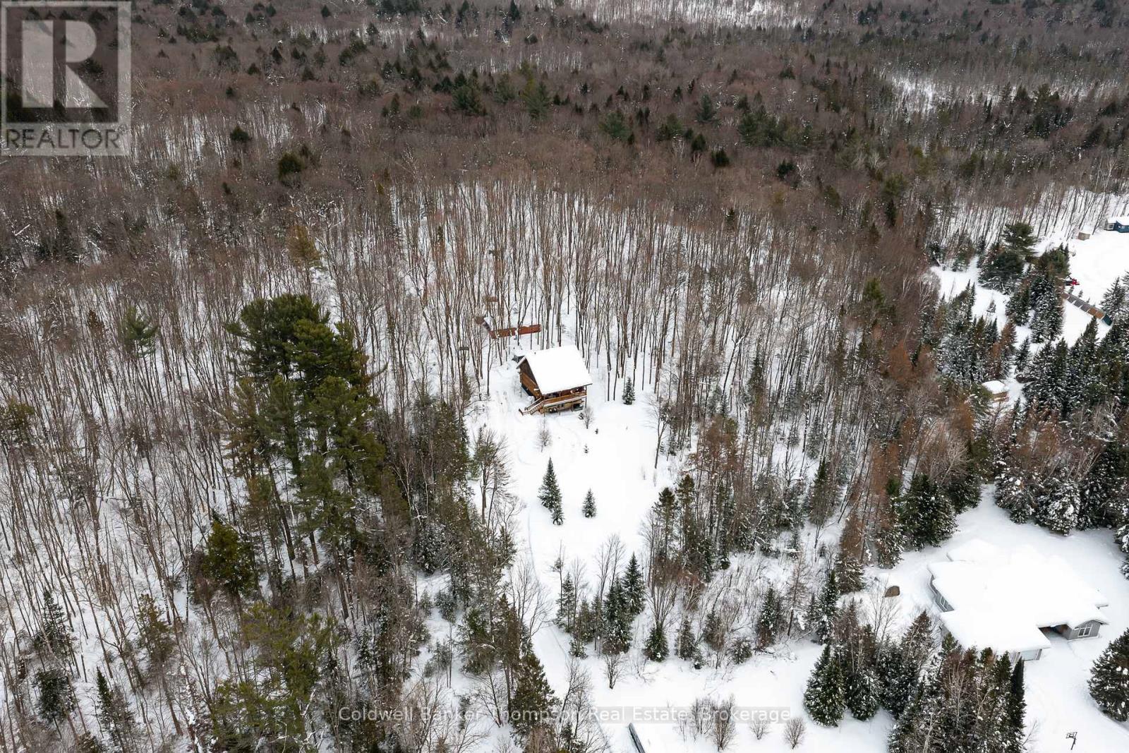 299 Rowanwood Road, Huntsville, Ontario P0B 1M0 - Photo 47 - X12788724