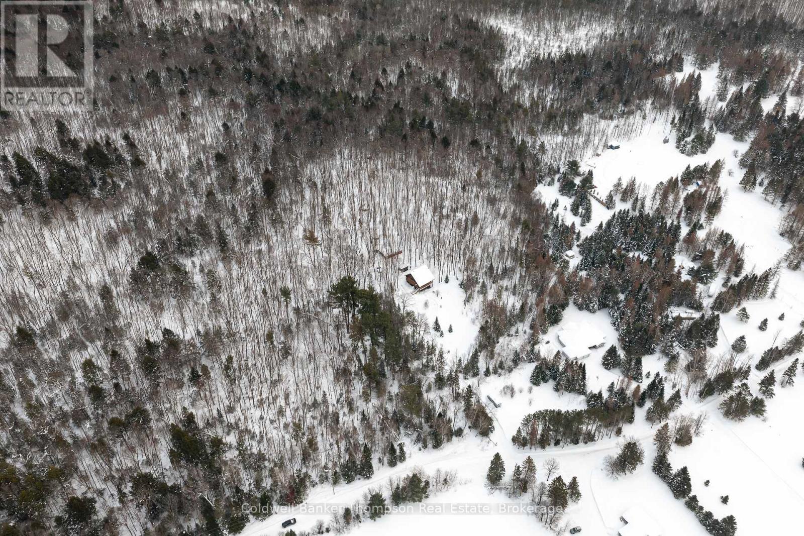 299 Rowanwood Road, Huntsville, Ontario P0B 1M0 - Photo 50 - X12788724