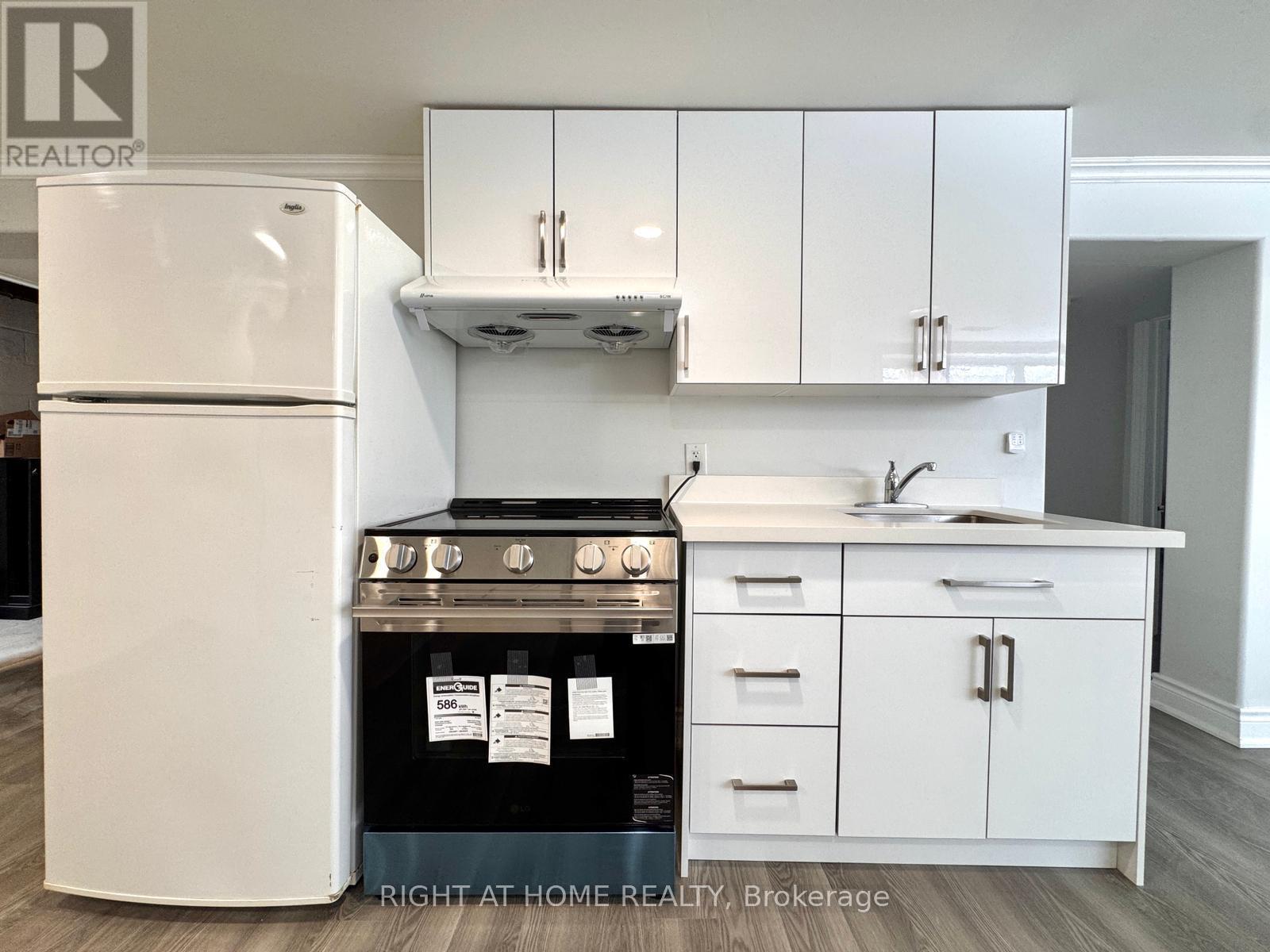 Basement - 413 Fernleigh Circle S, Richmond Hill, Ontario  L4C 1E7 - Photo 5 - N12789734