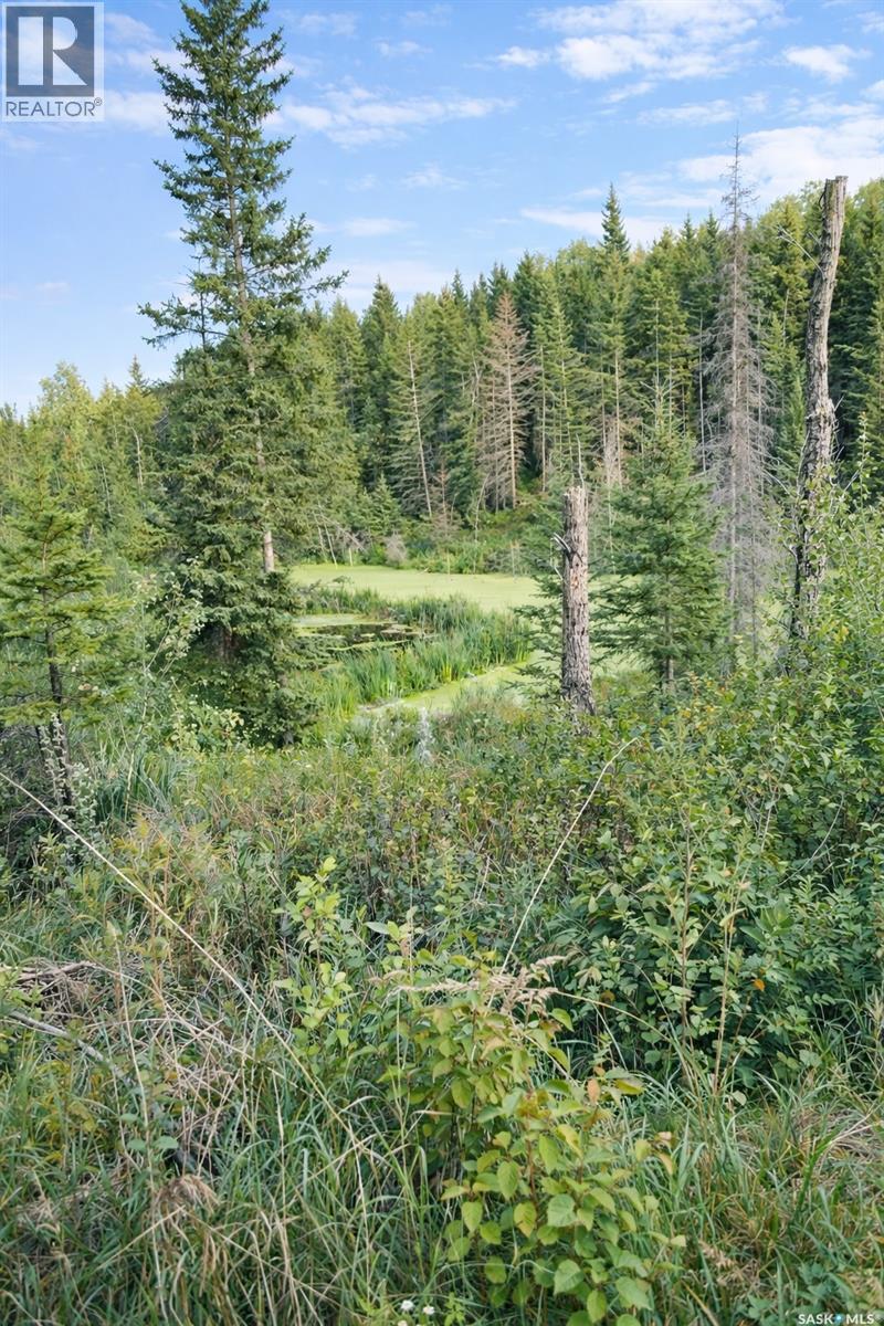 Yj Cattle Company Ranch, Shellbrook Rm No. 493, Saskatchewan  S0J 2E0 - Photo 35 - SK028548