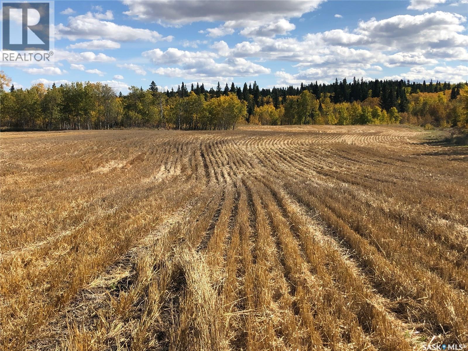 Yj Cattle Company Ranch, Shellbrook Rm No. 493, Saskatchewan  S0J 2E0 - Photo 36 - SK028548