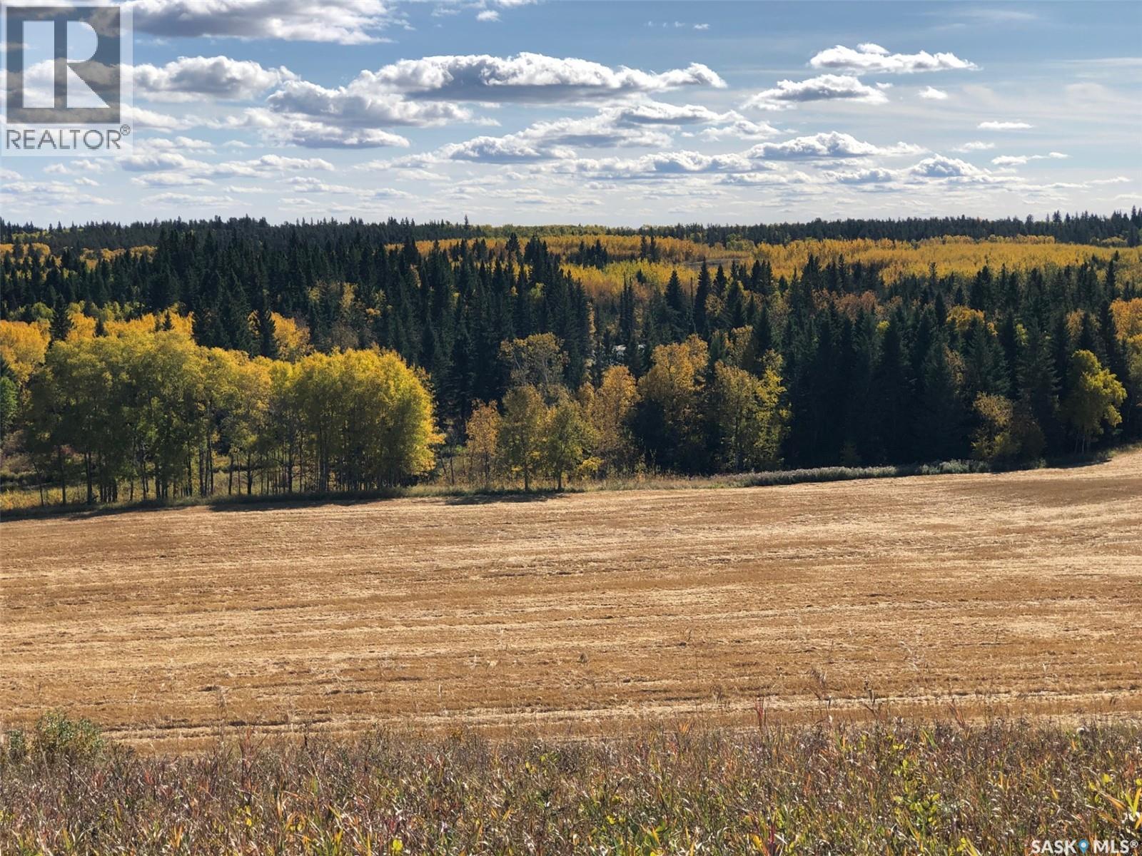 Yj Cattle Company Ranch, Shellbrook Rm No. 493, Saskatchewan  S0J 2E0 - Photo 39 - SK028548