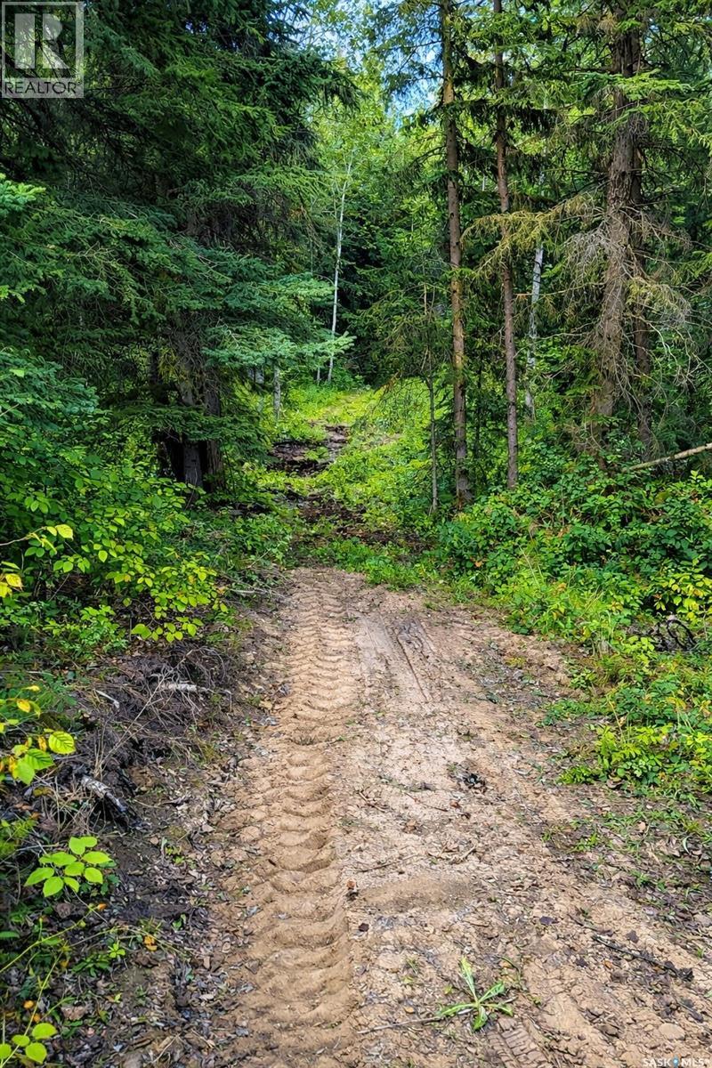 Yj Cattle Company Ranch, Shellbrook Rm No. 493, Saskatchewan  S0J 2E0 - Photo 41 - SK028548