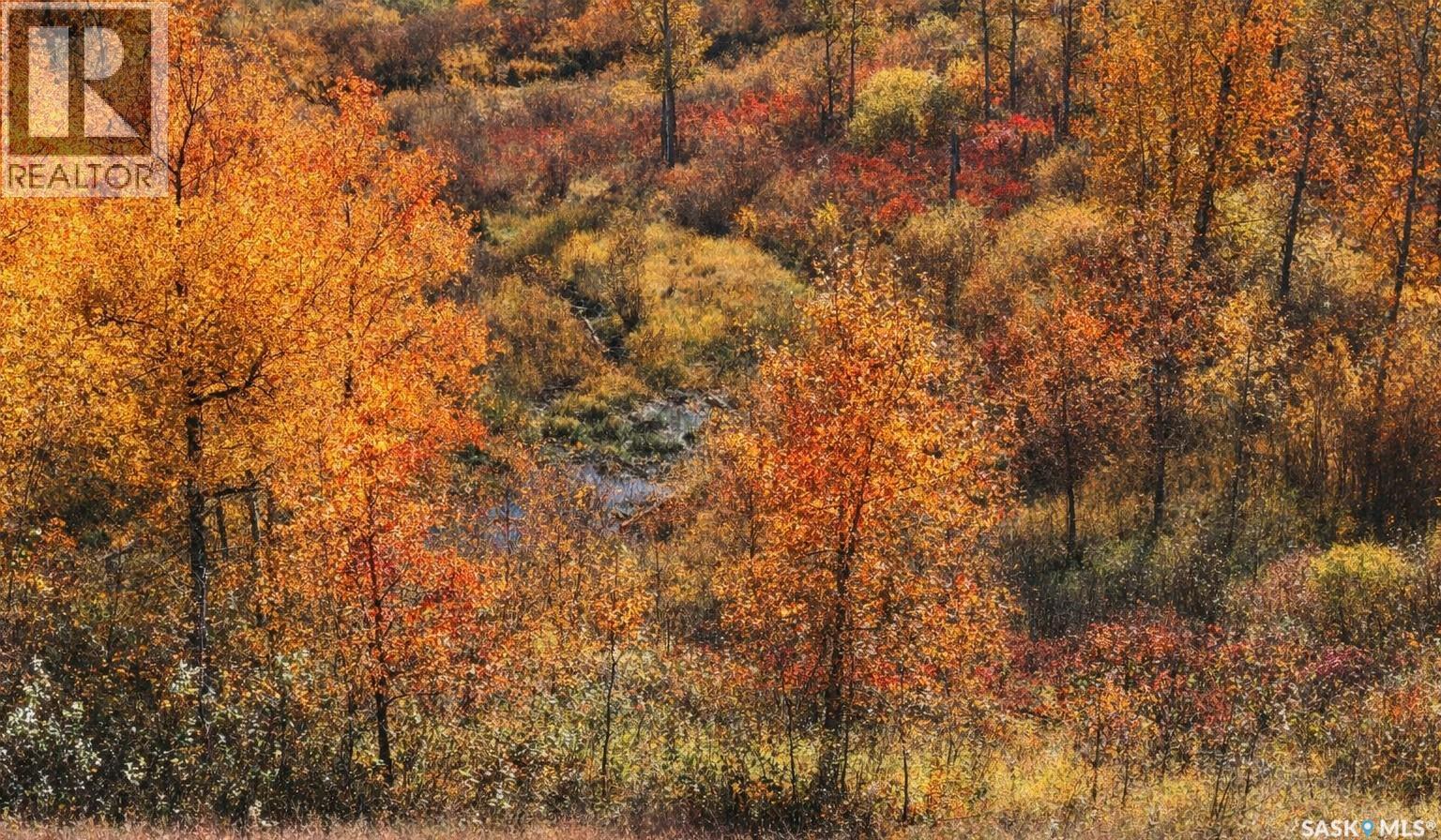 Yj Cattle Company Ranch, Shellbrook Rm No. 493, Saskatchewan  S0J 2E0 - Photo 43 - SK028548