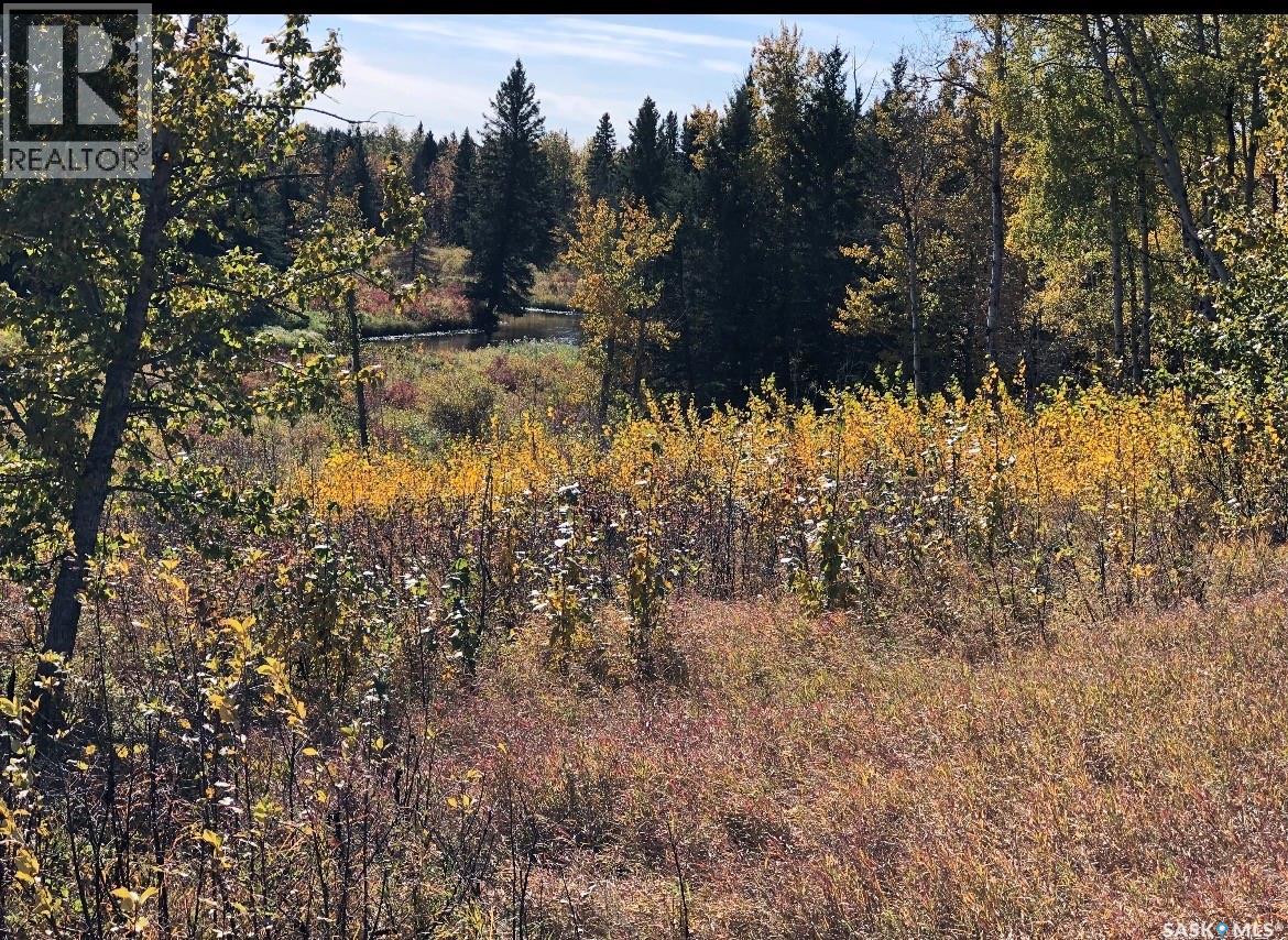 Yj Cattle Company Ranch, Shellbrook Rm No. 493, Saskatchewan  S0J 2E0 - Photo 48 - SK028548