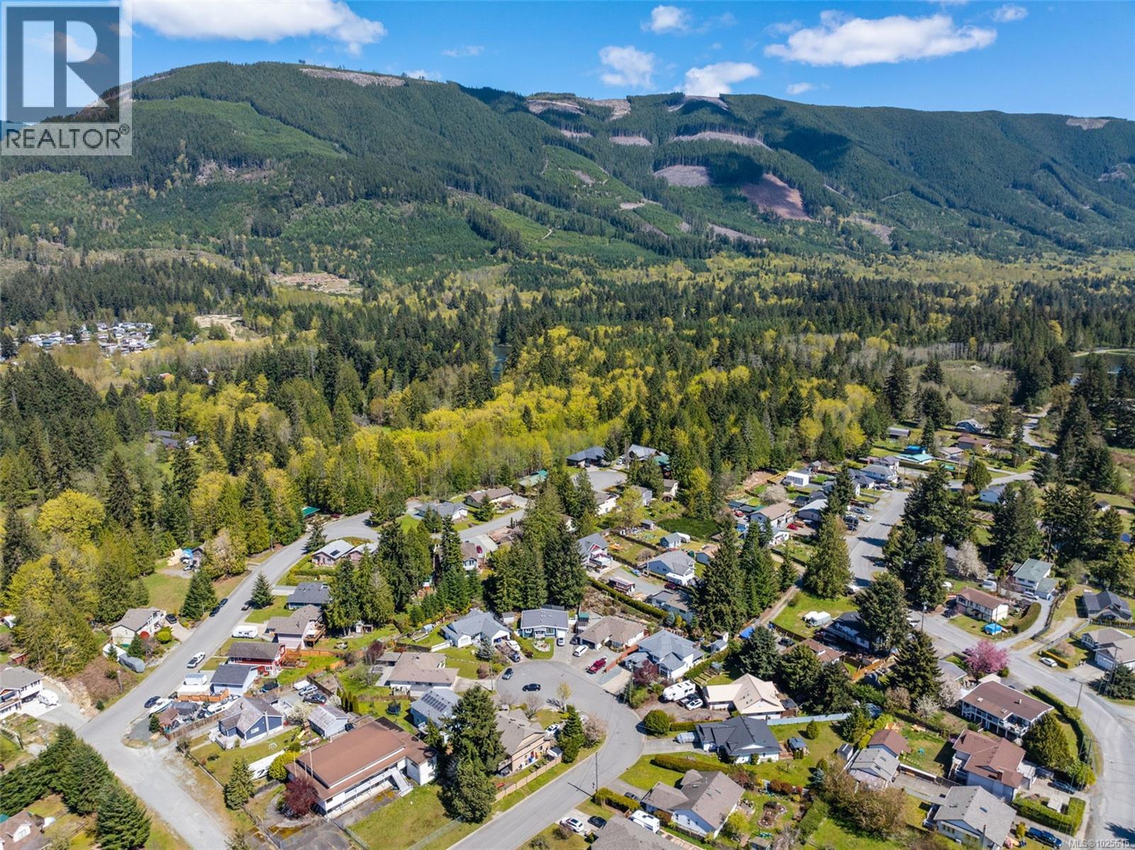 212 Cowichan Ave E, Lake Cowichan, British Columbia  V0R 2G0 - Photo 7 - 1025615