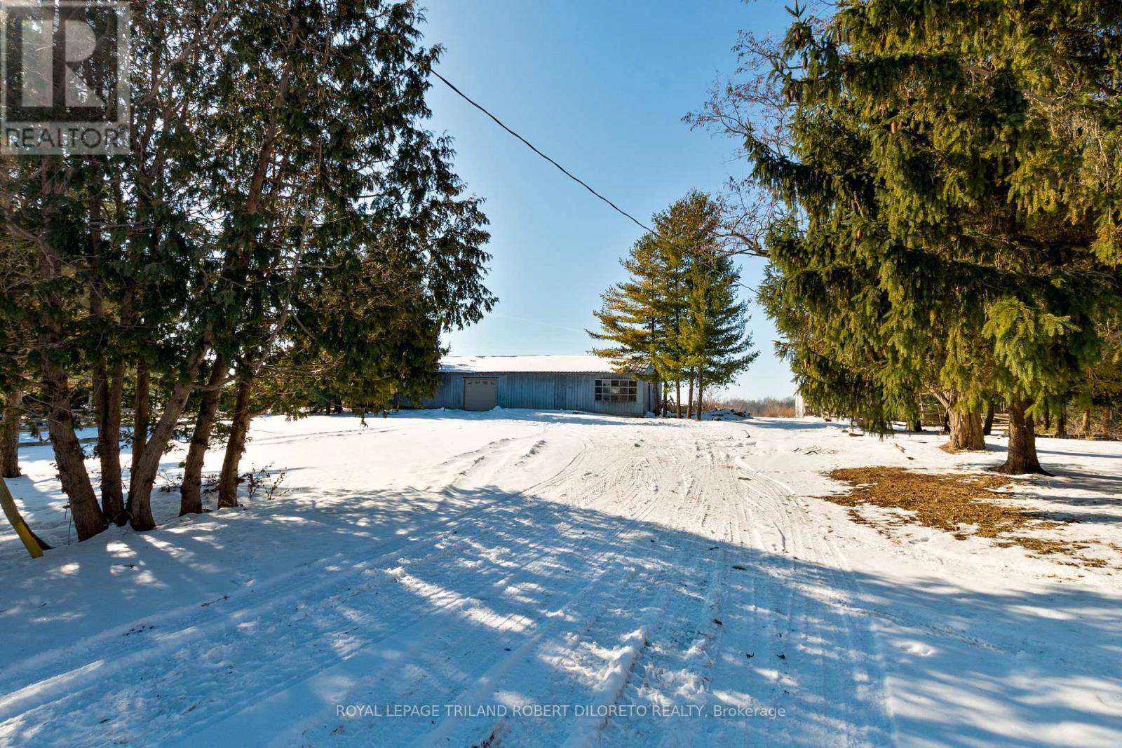 21477 Springfield Road, Southwest Middlesex, Ontario  N0L 1T0 - Photo 12 - X12790062