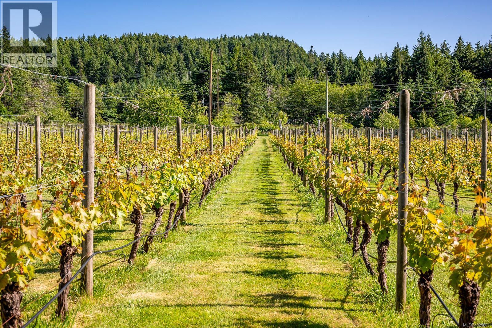 1885 Central Rd, Hornby Island, British Columbia  V0R 1Z0 - Photo 40 - 1025801