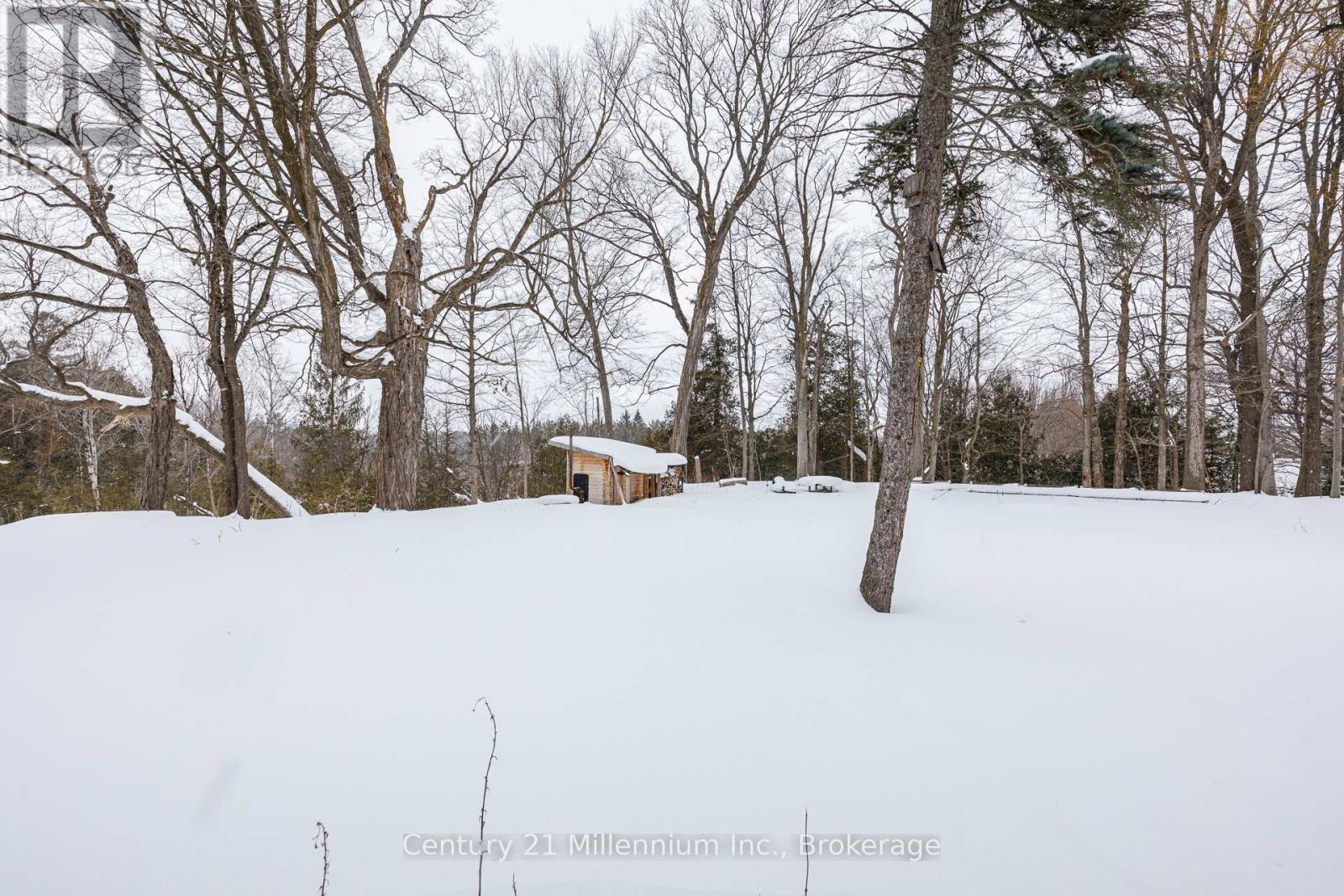 788277 Beaver Valley Road, Blue Mountains, Ontario N0H 1J0 - Photo 47 - X12790092