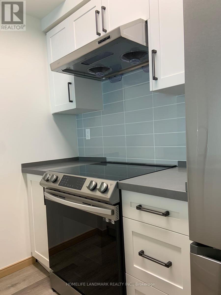 B206 - 50 Morecambe Gate E, Toronto, Ontario  M1W 0A9 - Photo 5 - E12790120