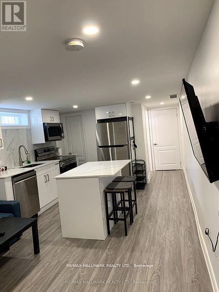 Bsmt - 255 Ashlar Road, Richmond Hill, Ontario  L4C 2W7 - Photo 10 - N12790154