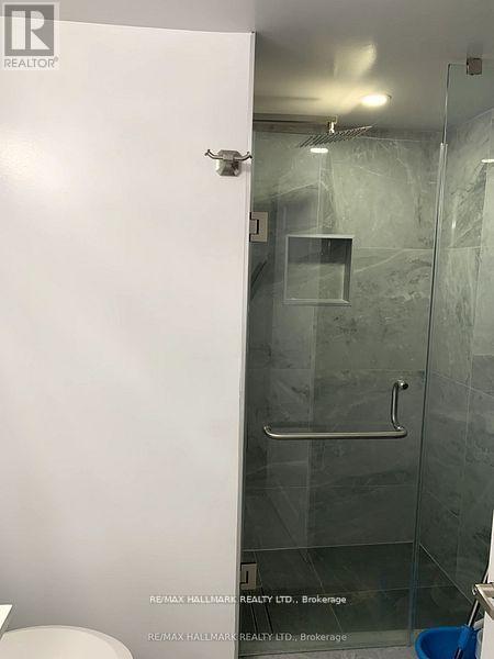 Bsmt - 255 Ashlar Road, Richmond Hill, Ontario  L4C 2W7 - Photo 3 - N12790154