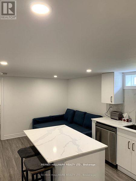 Bsmt - 255 Ashlar Road, Richmond Hill, Ontario  L4C 2W7 - Photo 7 - N12790154