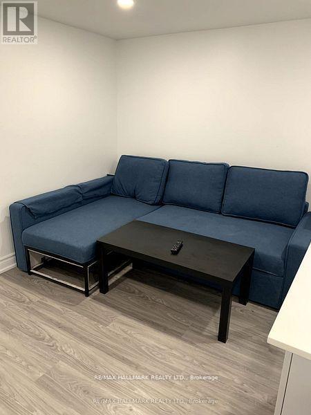 Bsmt - 255 Ashlar Road, Richmond Hill, Ontario  L4C 2W7 - Photo 8 - N12790154