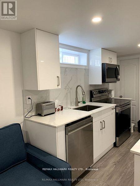 Bsmt - 255 Ashlar Road, Richmond Hill, Ontario  L4C 2W7 - Photo 9 - N12790154