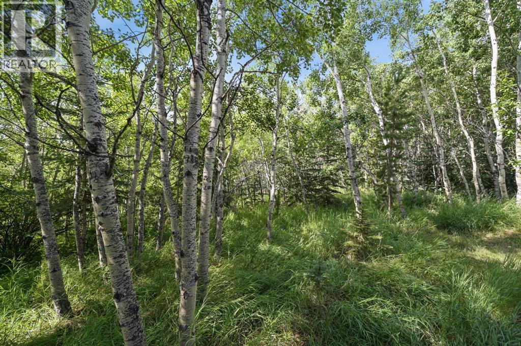 1458 Strathcona Drive Sw, Calgary, Alberta  T3H 4M2 - Photo 44 - A2286551