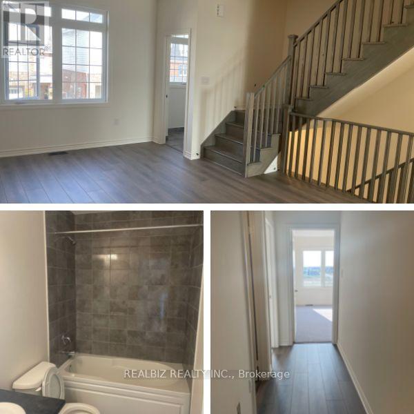 47 Stewardship Road N, Brampton, Ontario  L7A 4W6 - Photo 6 - W12790192