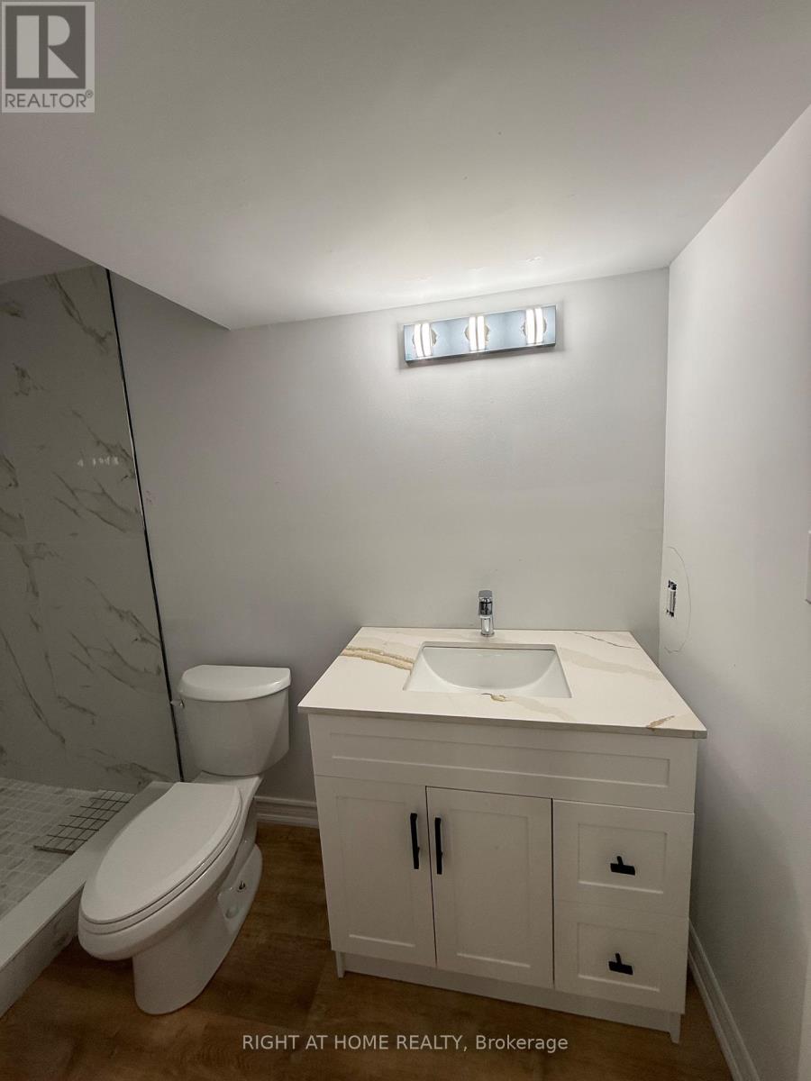 Bsmt - 72 Carleton Trail, New Tecumseth, Ontario  L0G 1A0 - Photo 10 - N12790210