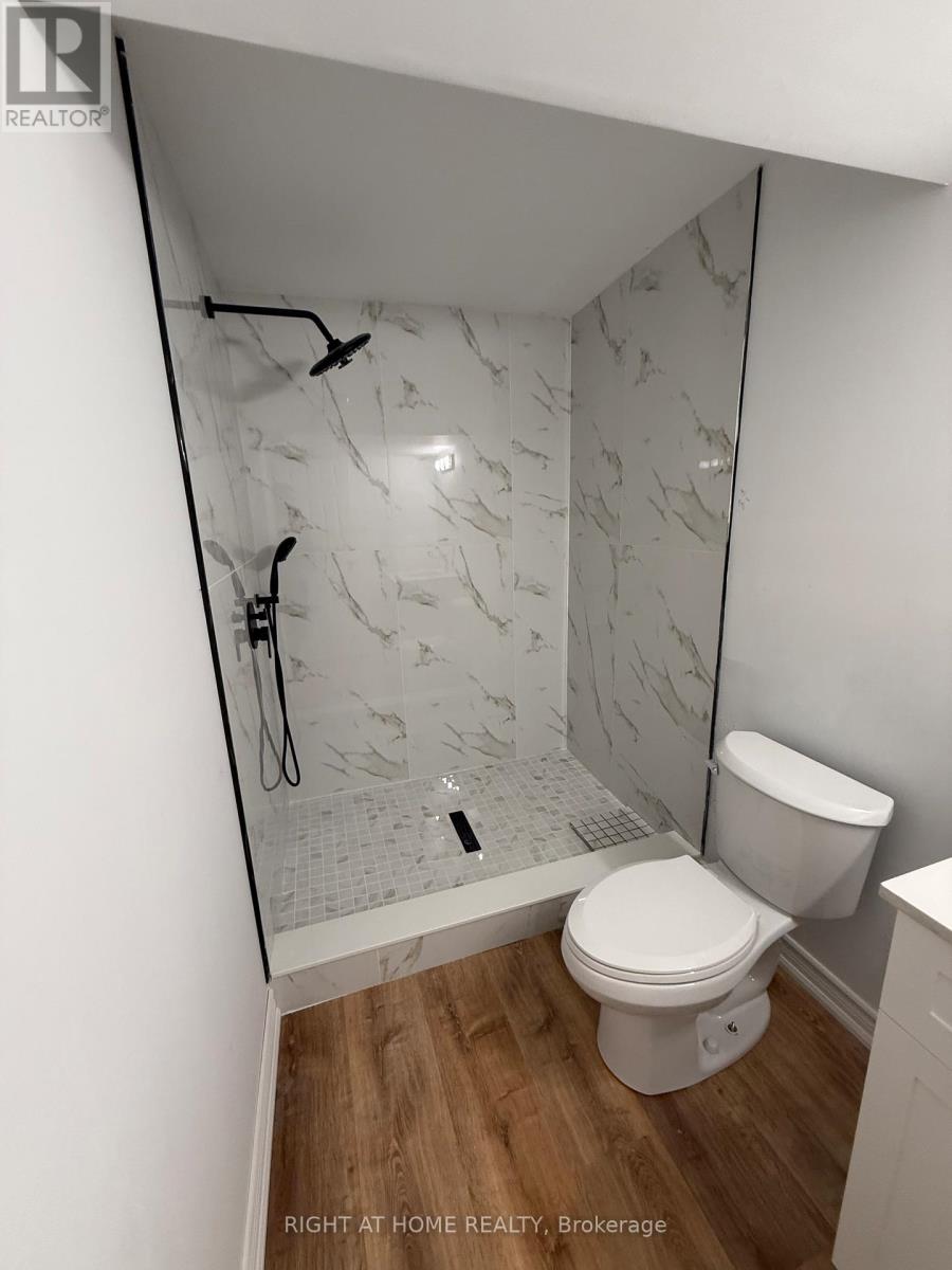 Bsmt - 72 Carleton Trail, New Tecumseth, Ontario  L0G 1A0 - Photo 11 - N12790210