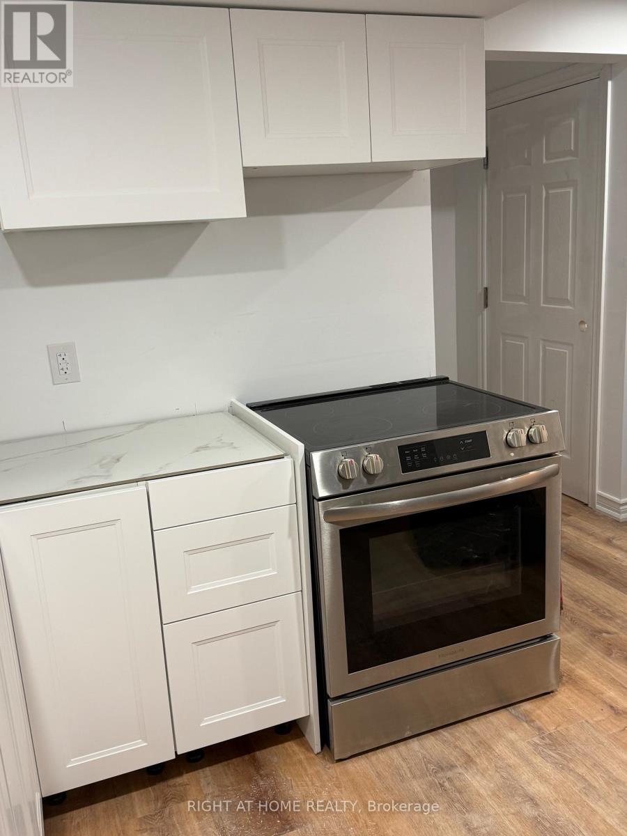 Bsmt - 72 Carleton Trail, New Tecumseth, Ontario  L0G 1A0 - Photo 7 - N12790210