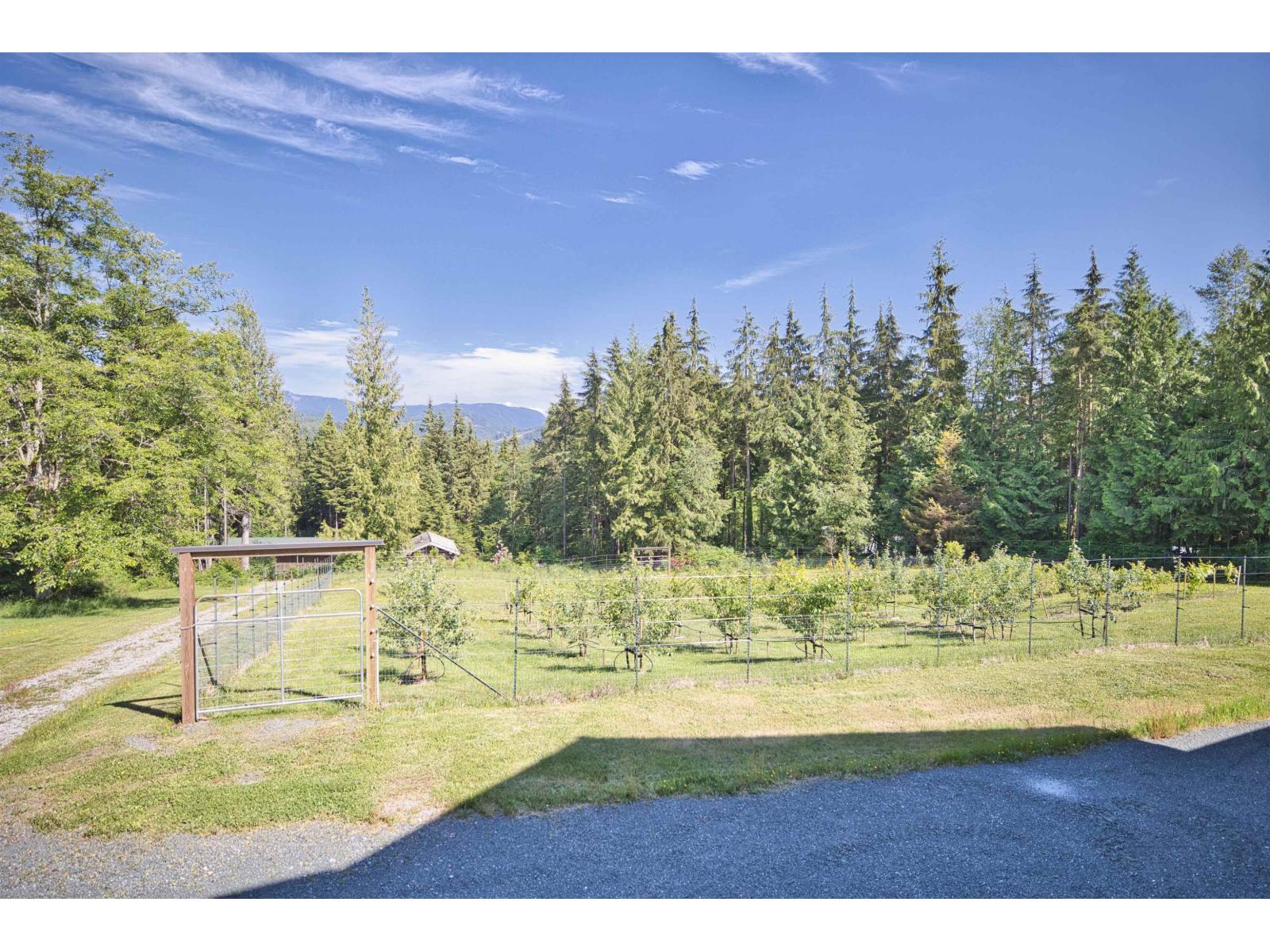 13100 Bell Street, Mission, British Columbia  V4S 1C6 - Photo 6 - R3090031