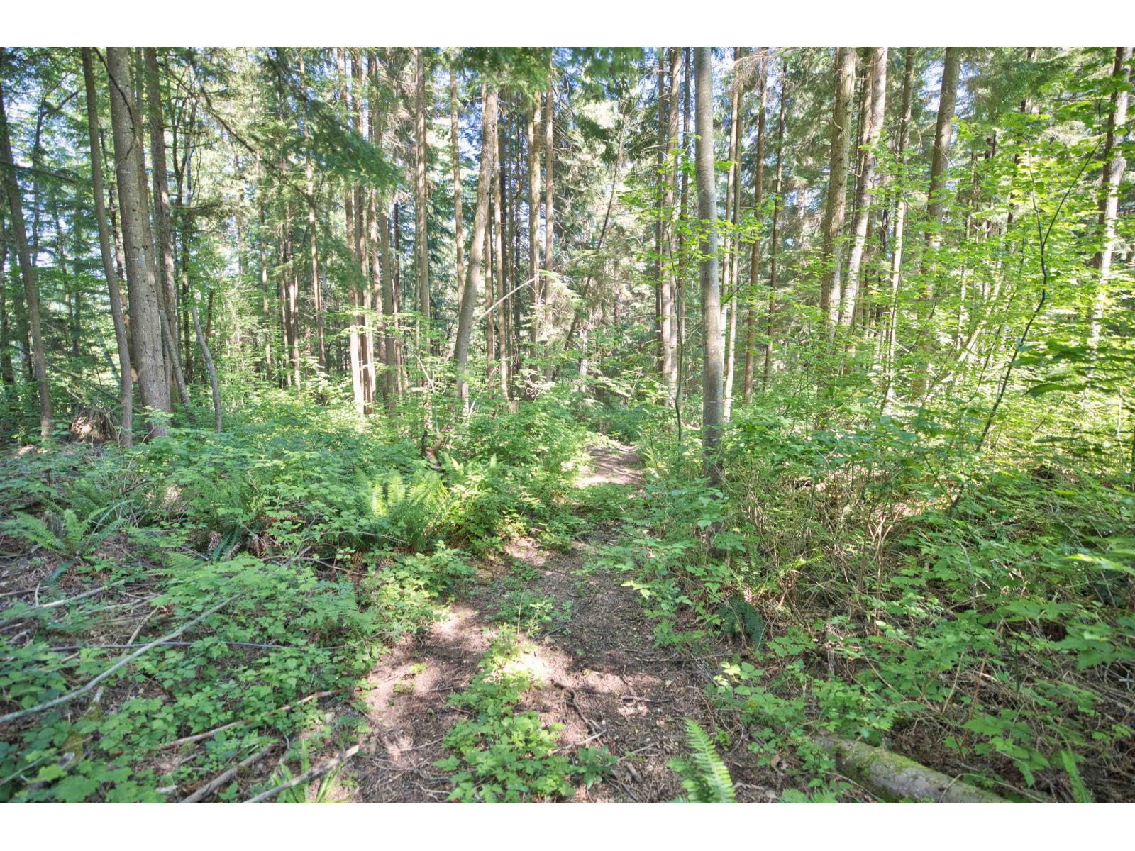 13100 Bell Street, Mission, British Columbia  V4S 1C6 - Photo 39 - R3090031