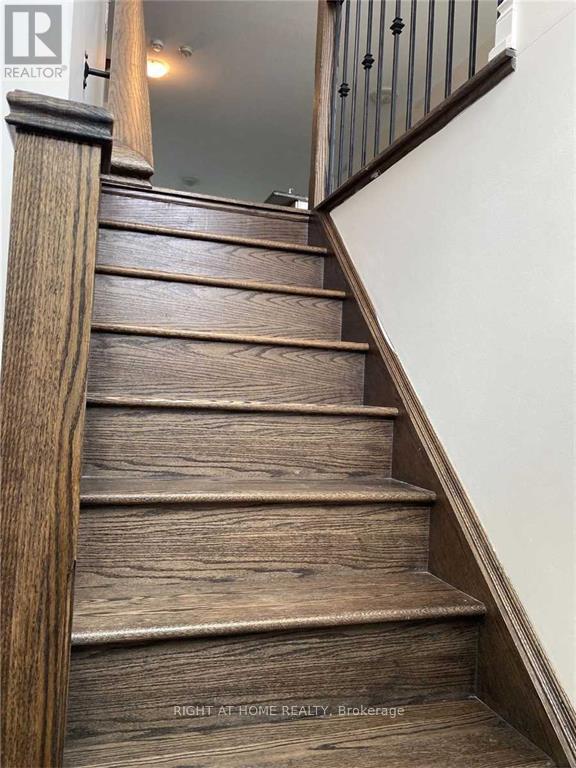 12 Pony Farm Drive, Toronto, Ontario  M9R 0B3 - Photo 4 - W12790274