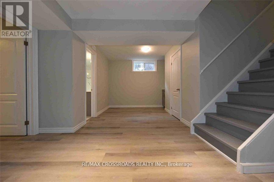 Lower - 782 Cummer Avenue, Toronto (Bayview Woods-Steeles), Ontario  M2H 1E7 - Photo 3 - C12790384