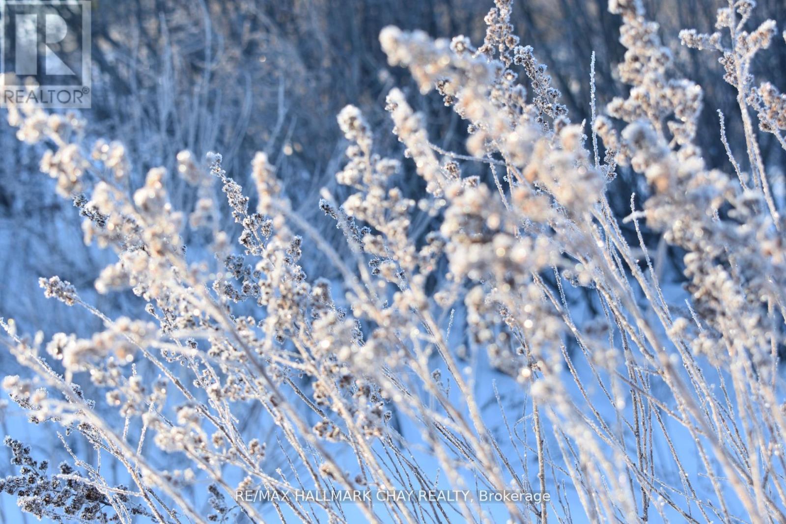 0 Hurdville Road, Mckellar, Ontario  P2A 0B5 - Photo 6 - X12790372