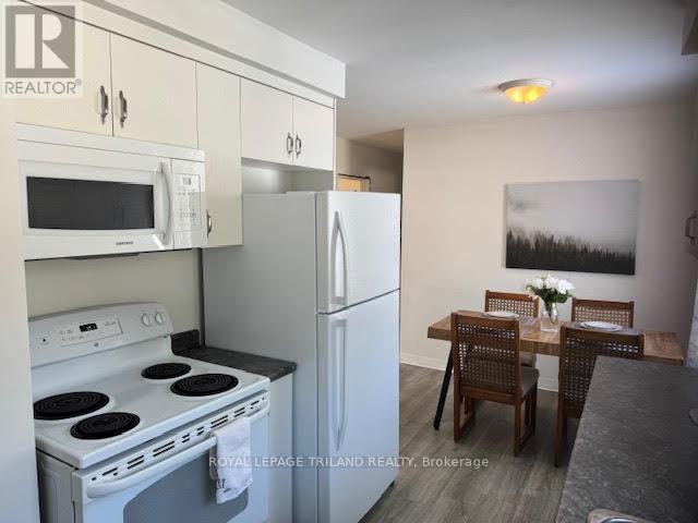 154 Ross Avenue, Thames Centre, Ontario  N0L 1G1 - Photo 5 - X12789404