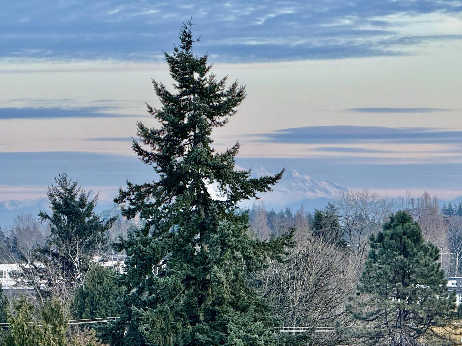 1103 13675 107a Avenue, Surrey, British Columbia  V3T 0X2 - Photo 21 - R3062276