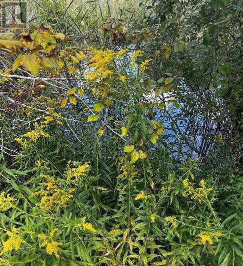 22 - 128 County Road, Alnwick/haldimand, Ontario  K0K 1C0 - Photo 14 - X12777624