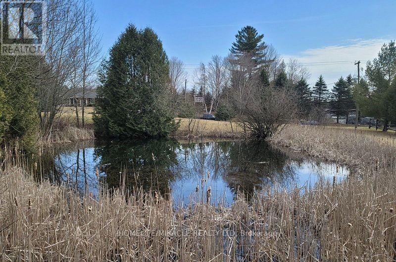 22 - 128 County Road, Alnwick/haldimand, Ontario  K0K 1C0 - Photo 23 - X12777624