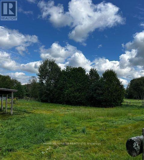 22 - 128 County Road, Alnwick/haldimand, Ontario  K0K 1C0 - Photo 8 - X12777624