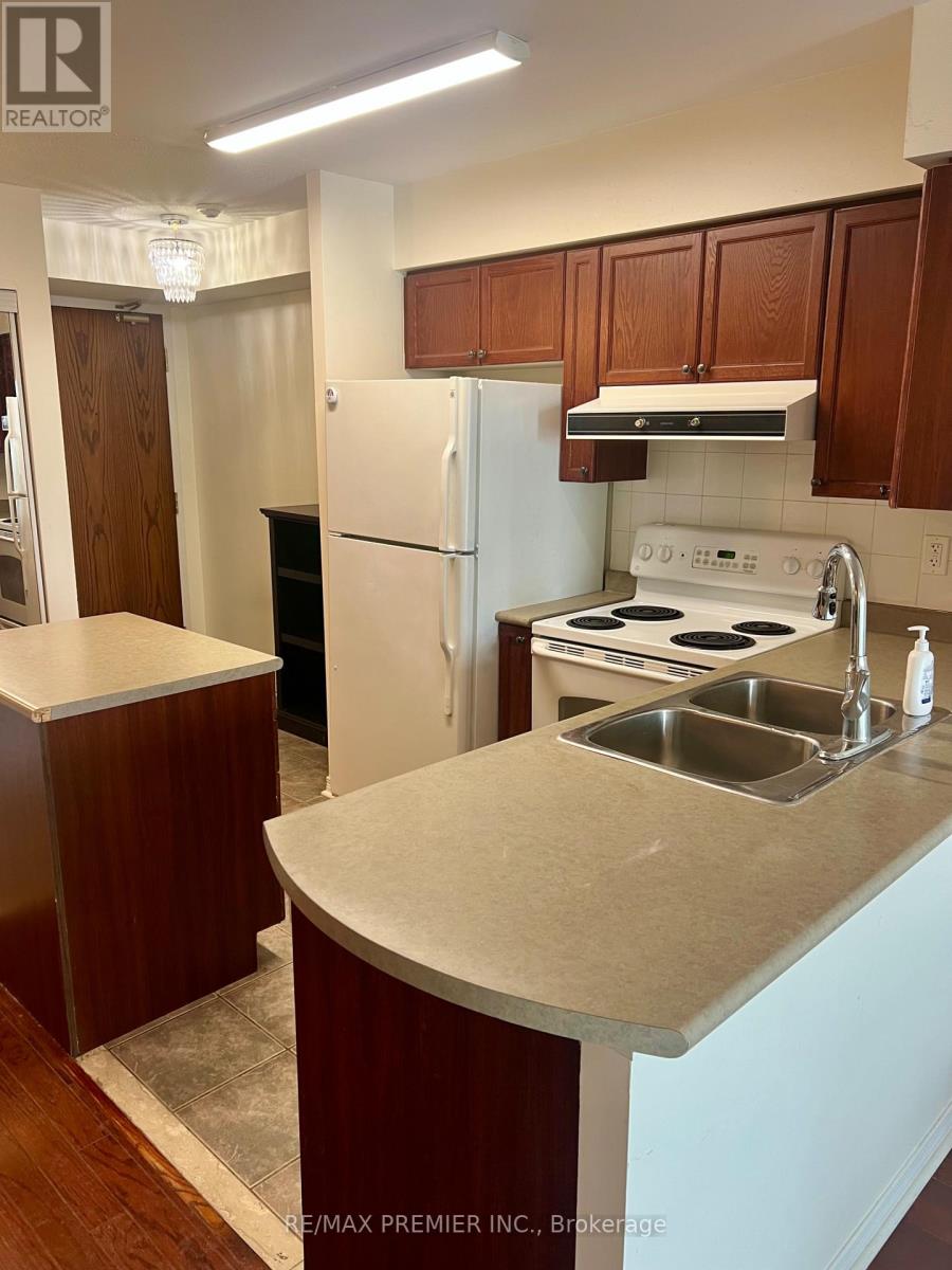 307 - 11 Oneida Crescent, Richmond Hill, Ontario  L4B 0A1 - Photo 4 - N12679778