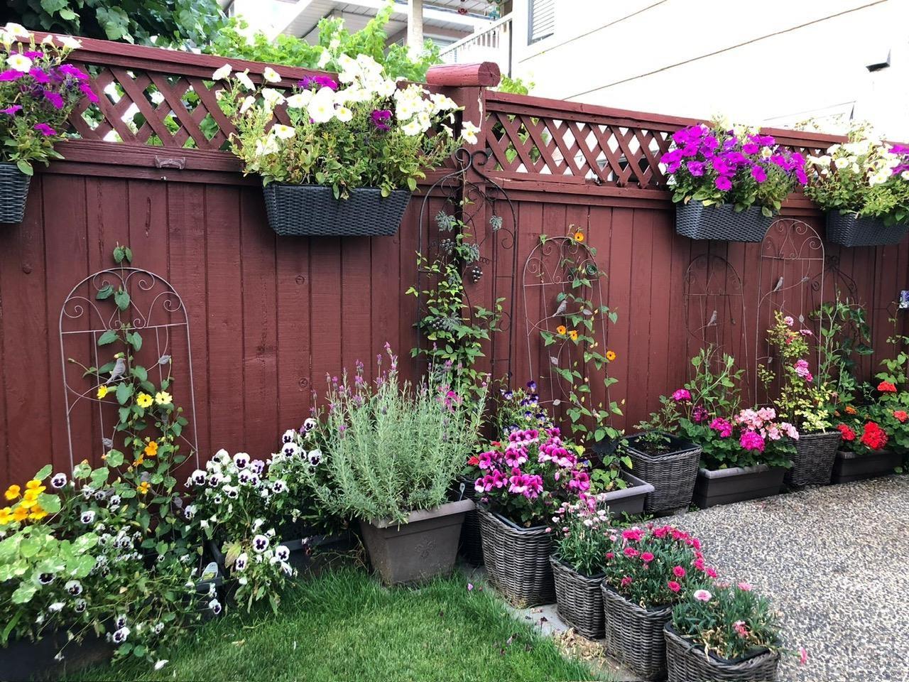 3 11952 64 Avenue, Delta, British Columbia  V4E 1C8 - Photo 33 - R3084315