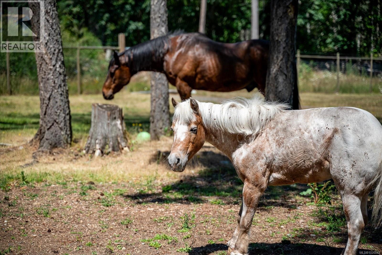 409 Fourneau Way, Parksville, British Columbia  V9P 2J8 - Photo 68 - 1026043