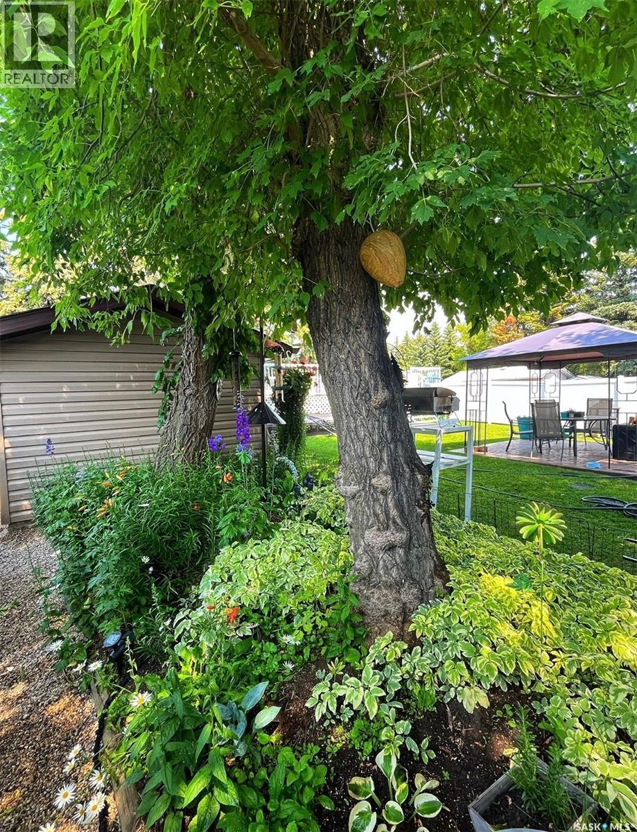 602 Ouimet Street, Wolseley, Saskatchewan  S0G 5H0 - Photo 34 - SK028613